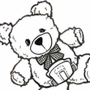 月来月舒 头像