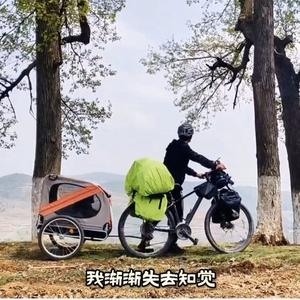 辛信的故事 头像