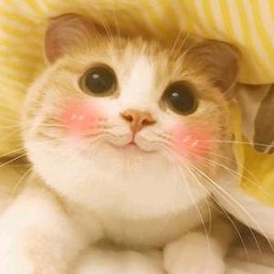 小梁吃不胖哦 头像