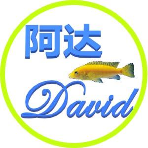 阿达David头像