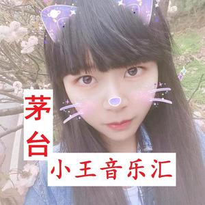 茅台小王音乐汇 头像
