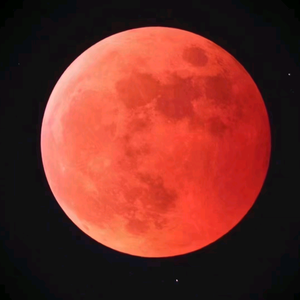 玫瑰解说剪辑 头像