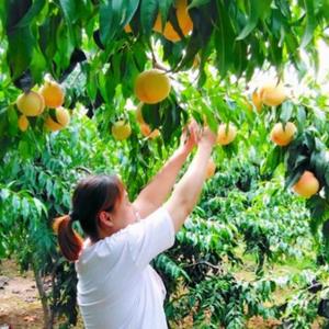 沂蒙美食人生头像