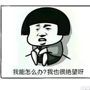 不凡的大黄鸭 头像