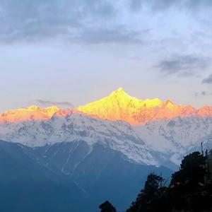 现在努力还来得及 头像