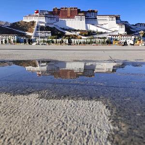 鸡哥救我 头像