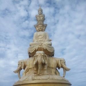 东耳大小姐 头像