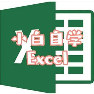 小白自学Excel 头像