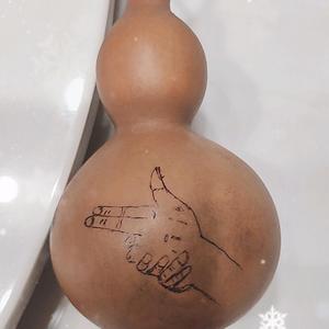 老赵和流浪猫 头像