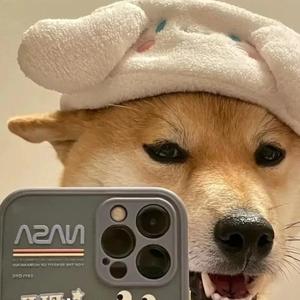 杨牛马永不过时 头像