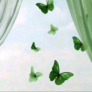 铁锅炖主播 头像