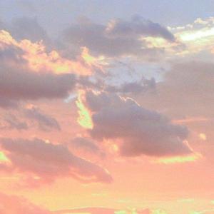 率真情感故事分享家 头像