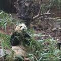 和解 头像