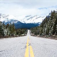 人类情感指南 头像