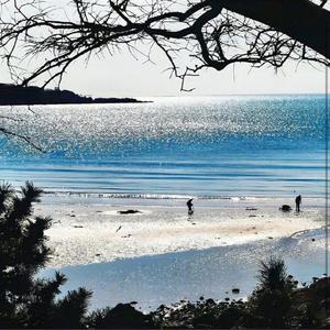 爱吃西红柿 头像