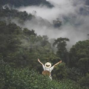 钱莫馨雨头像