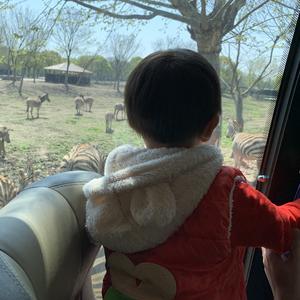 暖暖的春天了 头像