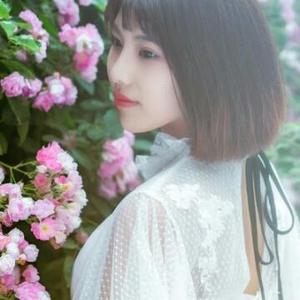 永远的六六