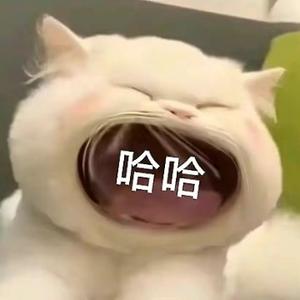 唯物主义接班 头像