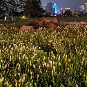 刚刚才知道 头像