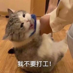 今天你hhh了吗 头像