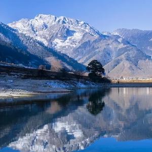 逼我上凉山@老屋 头像