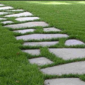 宏斋主人子君 头像