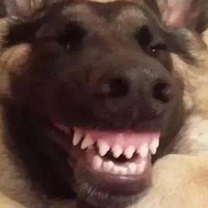 一步非烟