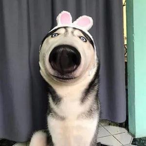马杭 头像