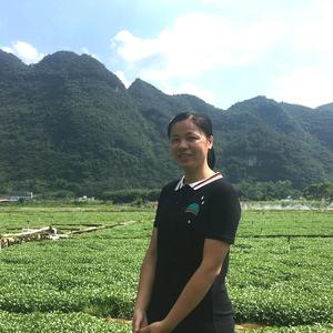 糖糖生活号 头像