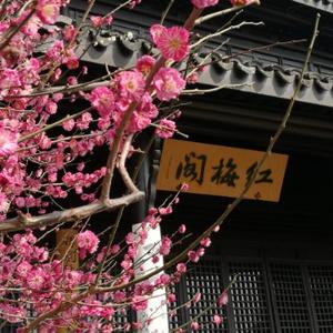 杜兴明看世界 头像