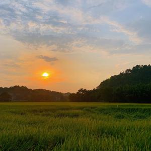 八号姑娘读书 头像