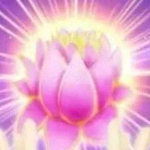 热情的高山伟 头像