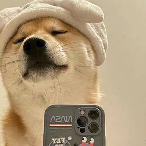 自强不息清风uIk 头像