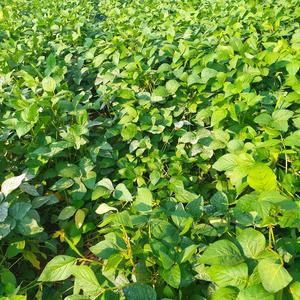 每月换个昵称 头像