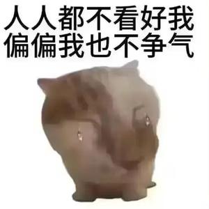 变戏法 头像