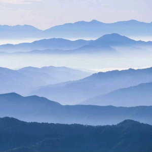 大道至简山人头像