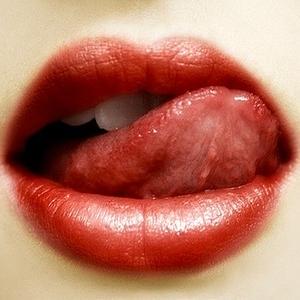 真心招待所 头像