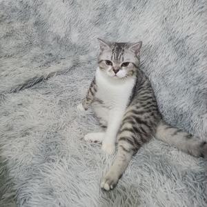 橘子皮的痣 头像