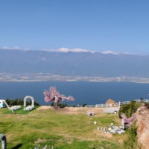 坦坦荡荡的爱旅游 头像