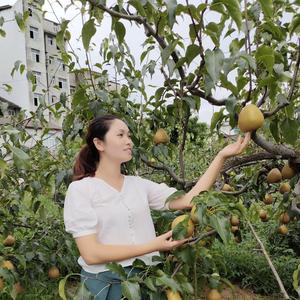 新农人春花姐头像