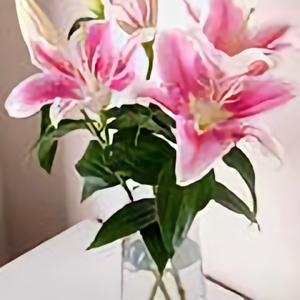 我是故乡的小河 头像