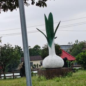 小啰华 头像