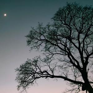 爱生活的小瑶瑶啊 头像