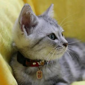 永咪故事会 头像