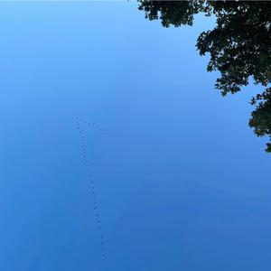 我就是sssdcai 头像