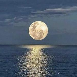 小初数学拔高成功营 头像