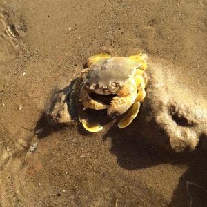 好奇杜小二 头像