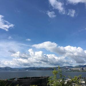 免费流量分享 头像