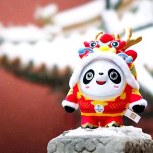 分秒必争圆月QGWTnSv 头像